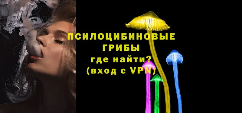 Галлюциногенные грибы MAGIC MUSHROOMS Торжок